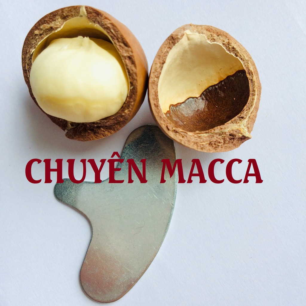 200g Nhân hạt MACCA (Mắc ca) SẤY LẠNH