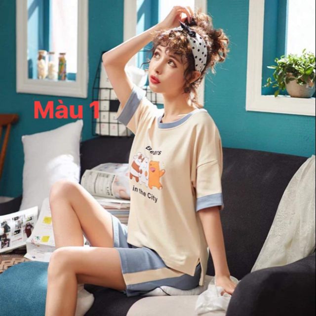 Combo 5 bộ đồ 830k