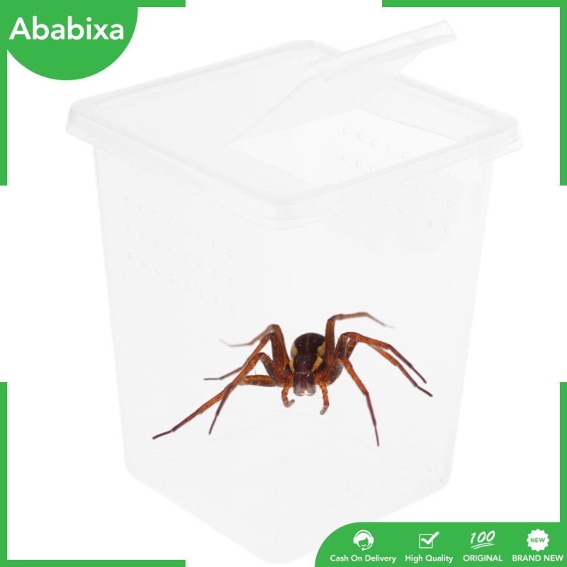 Hộp Đựng Thức Ăn Bằng Nhựa Hình Côn Trùng 3x3x4 Inch