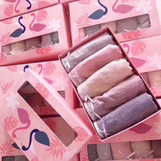 Set 5 quần chip thiên nga!