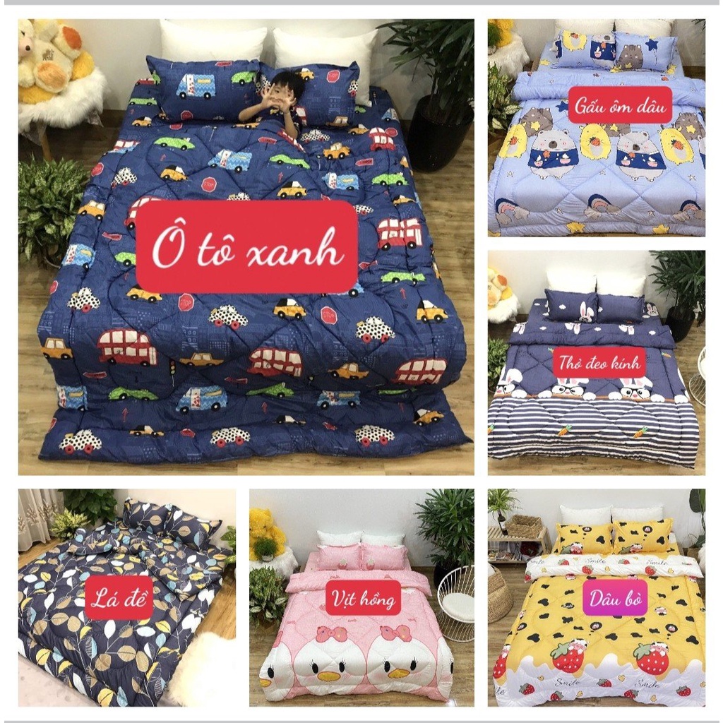 Ga Trải Giường 1M2X1M9,ga bọc đệm có chọn mẫu-MẪU HEO ĐỎ