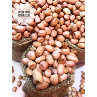 Đậu phộng sống nhà trồng