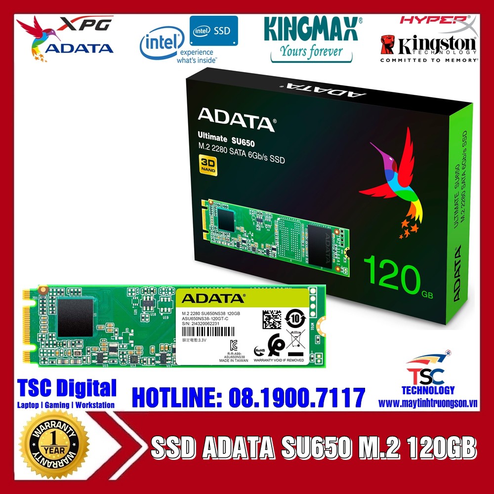 Ổ Cứng SSD ADATA Ultimate SU650 120GB M.2 2280 SATA 6Gb/s | NAND Flash 3D TLC