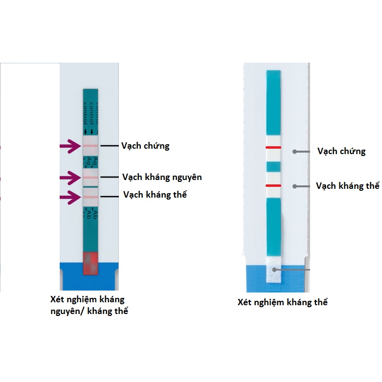 Que test HIV Alere combo Ag/ab phát hiện sớm 14 ngày kết quả chính xác hơn 95% , lấy mẫu máu đầu ngón tay