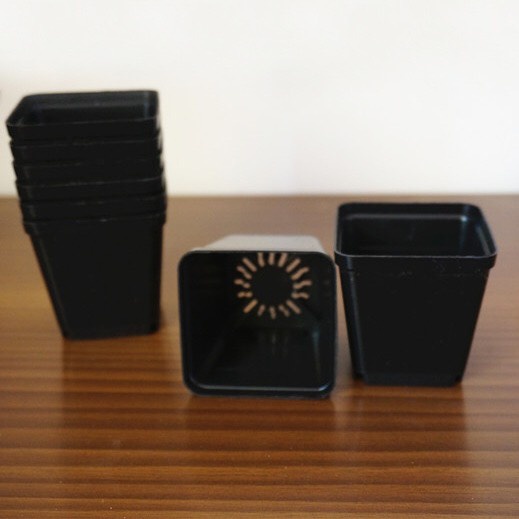 Chậu Nhựa 7x7cm, Trồng Sen Đá, Xương Rồng, Cẩm Nhung, Chậu Mini
