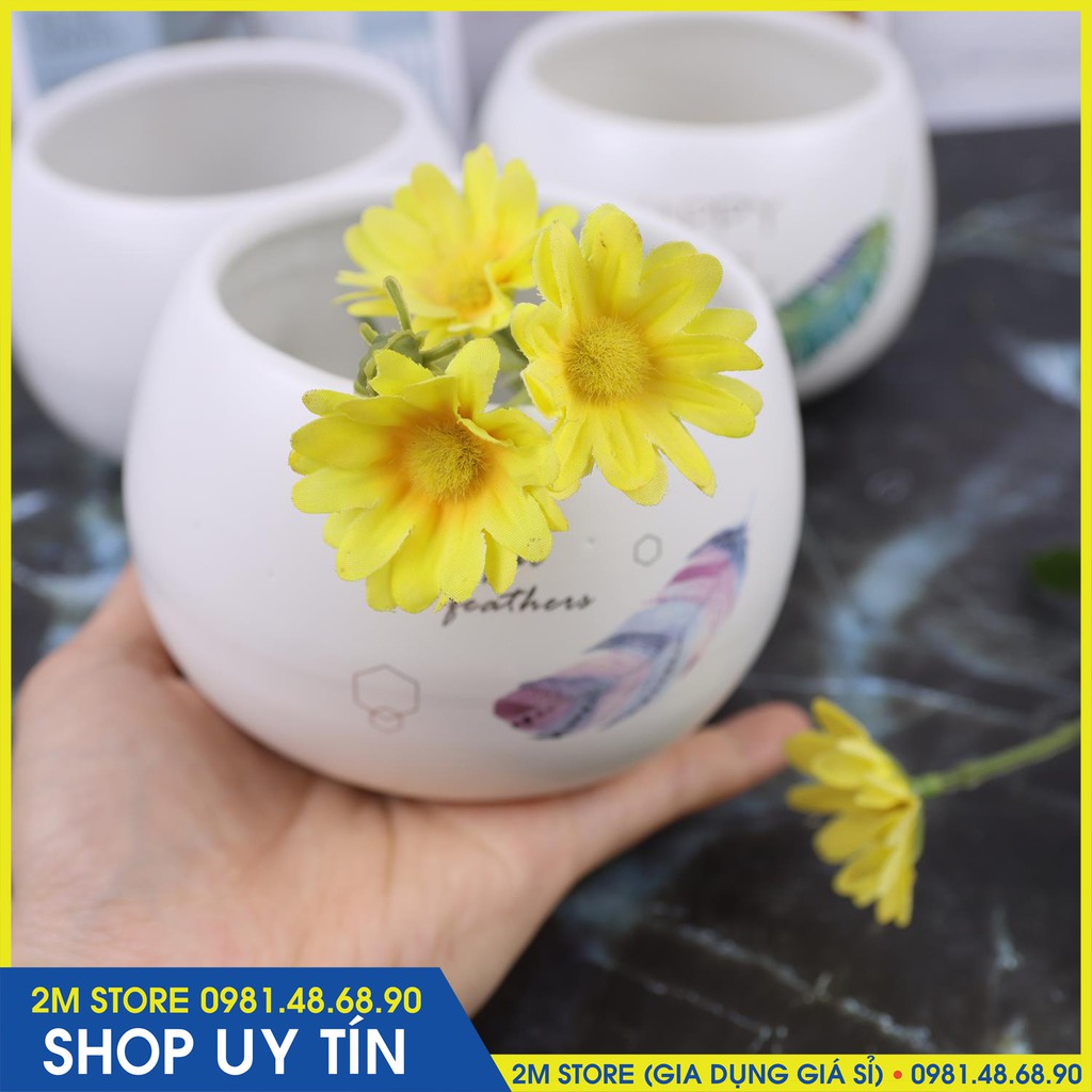 Chậu Hạt Dẻ Bát Tràng Trồng Cây Cảnh, Sen Đá, Xương Rồng Cao 8cm