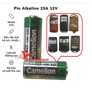 Pin điều khiển cửa cuốn 12V