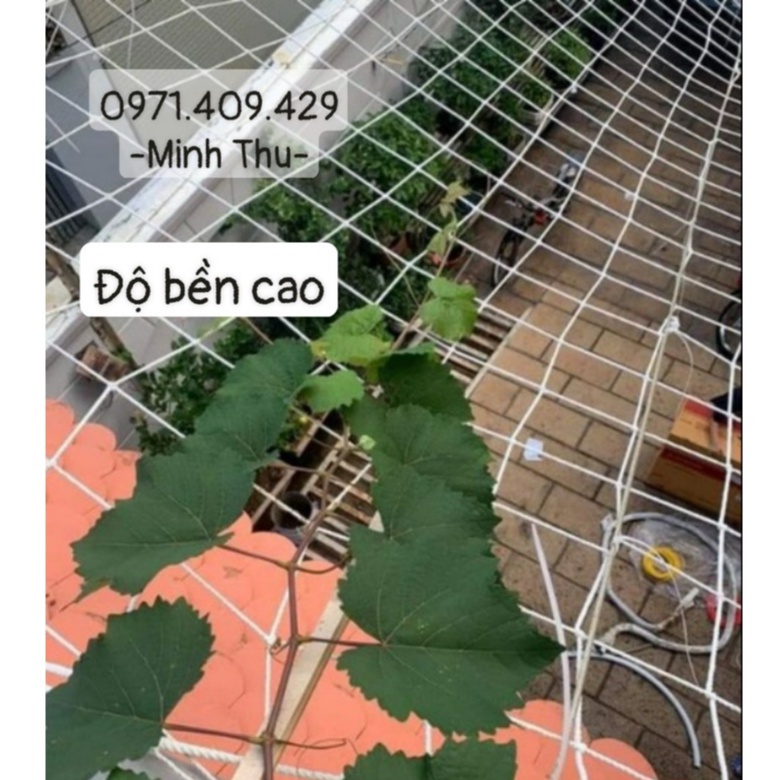 Lưới làm giàn leo , giàn mướp bầu bí