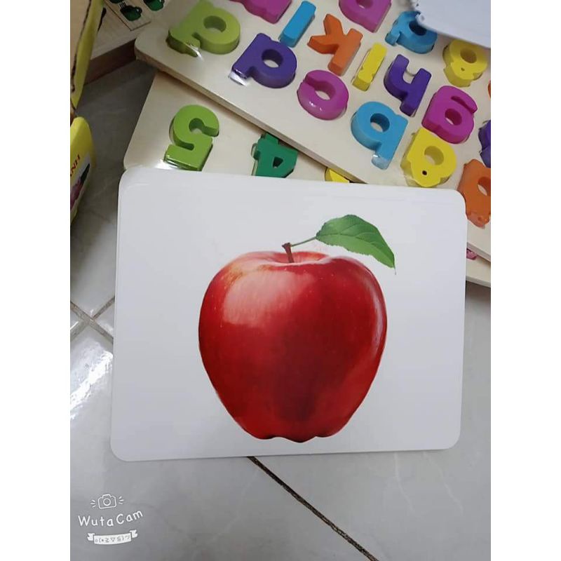 Thẻ học thông minh flashcard Glenn Doman dạy bé về TGXQ dạy bé biết đọc sớm size A5 15×21cm 100 thẻ to 14 chủ đề (A5)