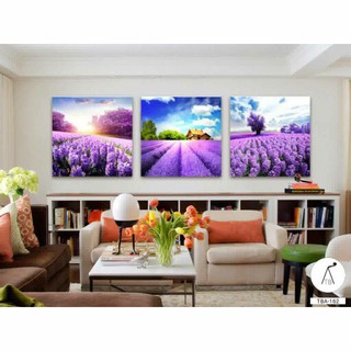 Bộ 3 tranh treo tường phong cảnh hoa Lavender - 40x40cm