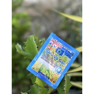 To đòng, trổ thoát, trổ đều SIÊU VÔ GẠO