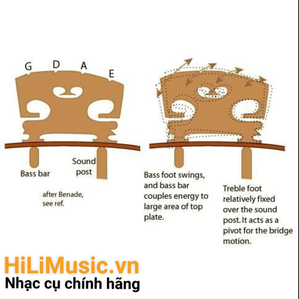 Ngựa đàn Violin 4/4, 3/4, 2/4, 1/2, 1/4 gỗ Mapple