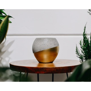 Chậu Xi Măng sơn Phom Tròn (chậu banh)