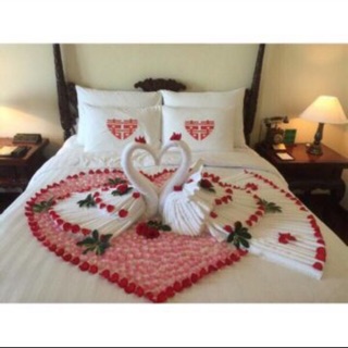 Sét Thiên Nga hoá Phượng-y hình 9 khăn cotton