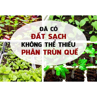 Phân Trùn Quế LAVAMIX - Phân Bón Bổ Sung Dinh Dưỡng