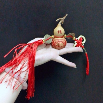 Hạt giống bầu hồ lô mini (tí hon), tỷ lệ này mầm cao