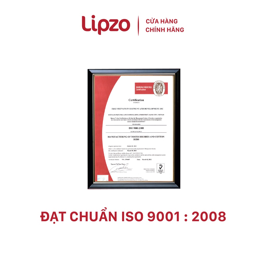 Combo 3 Bàn Chải Đánh Răng LIPZO Kids Step1 Cao Cấp Công Nghệ Chỉ Tơ Nha Khoa Cho Trẻ Em Trên 2 Tuổi
