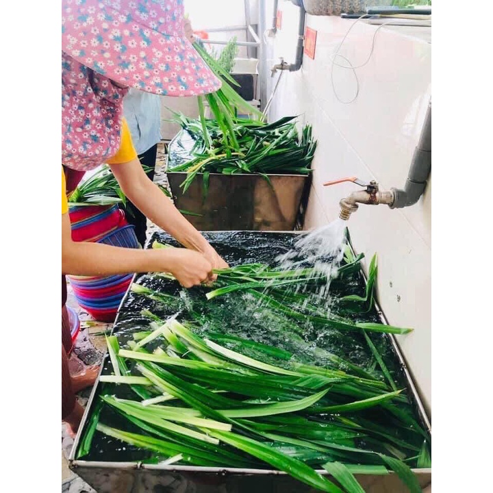 Trà Sâm Bí Đao La Hán - Thanh nhiệt Giải Độc Gan, Giảm mỡ Máu _ Giảm Cân Đẹp Da | BigBuy360 - bigbuy360.vn