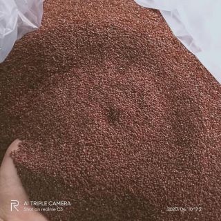 100G NGŨ HOA HẠT - HẠT ĐÌNH LỊCH