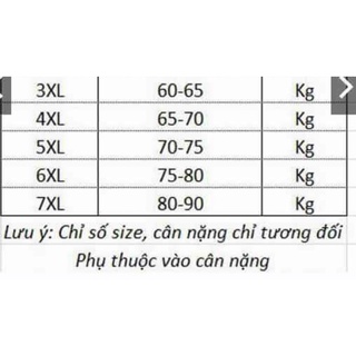 [M.U.M BIGSIZE] Quần jean ống loe bigsize