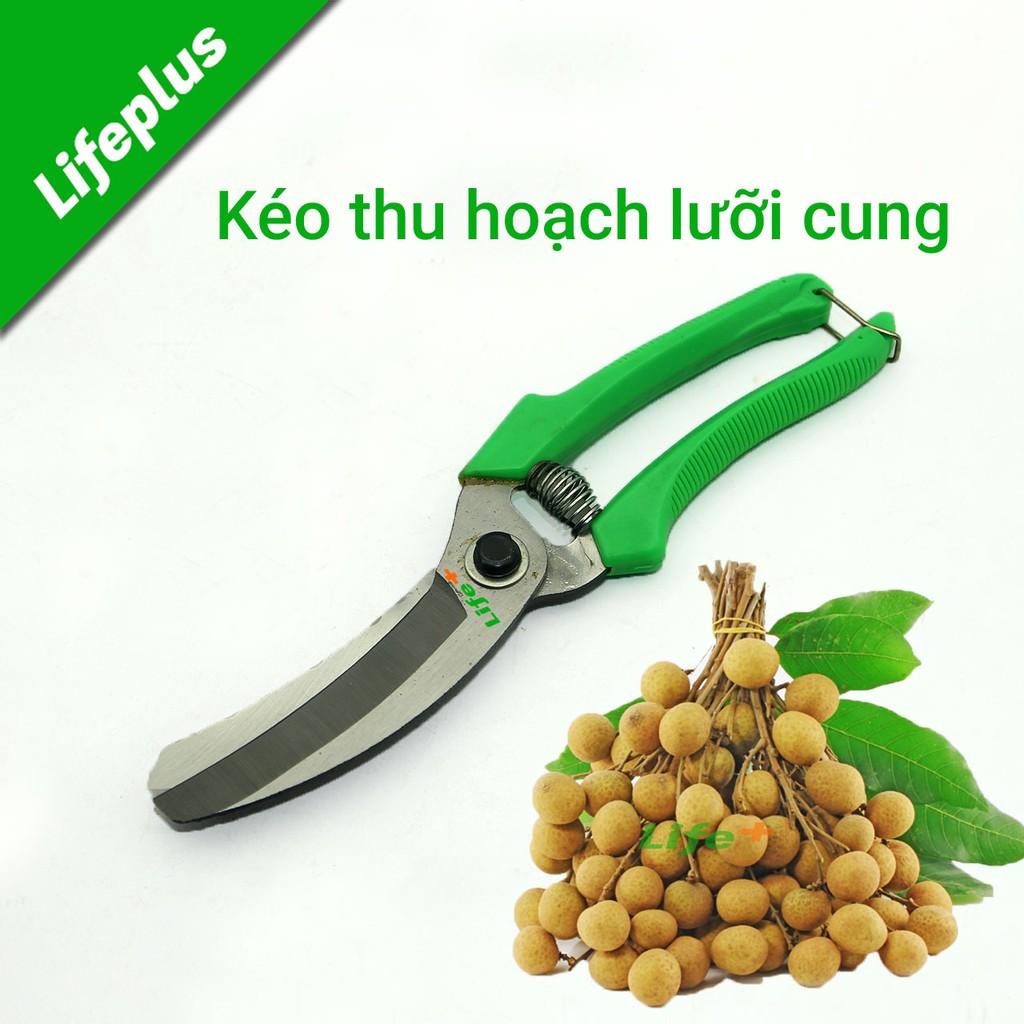 Kéo cắt cành lưỡi khoe