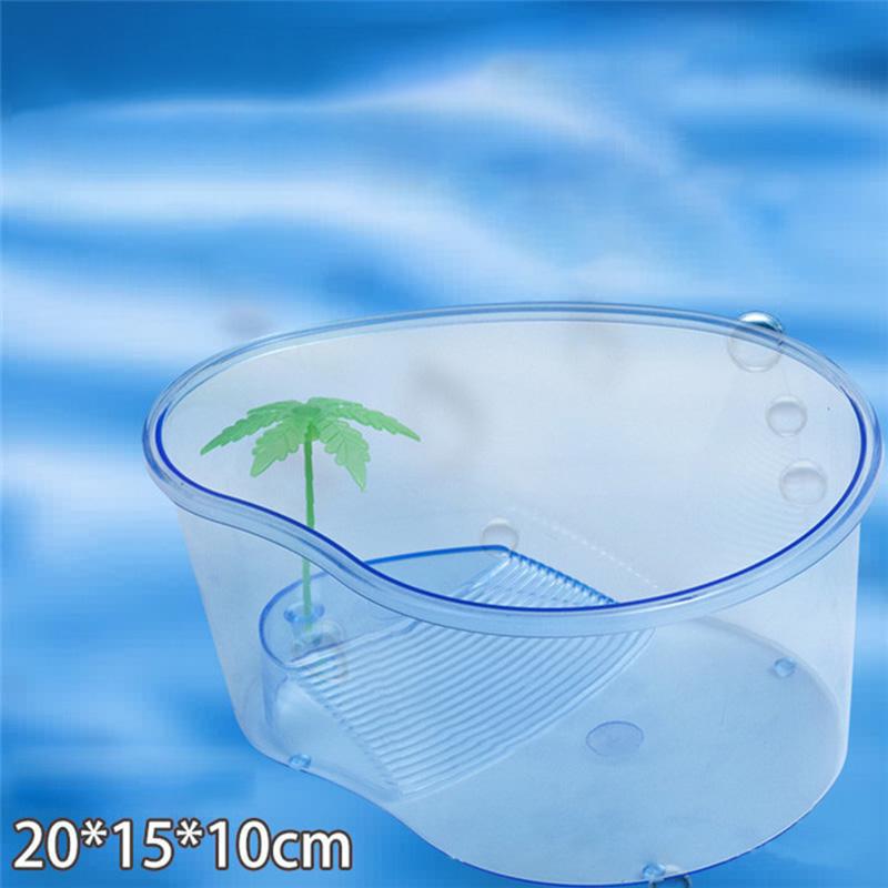 Bể rùa cảnh mini chất lượng