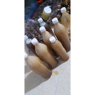 Mật ong rừng Hà Giang