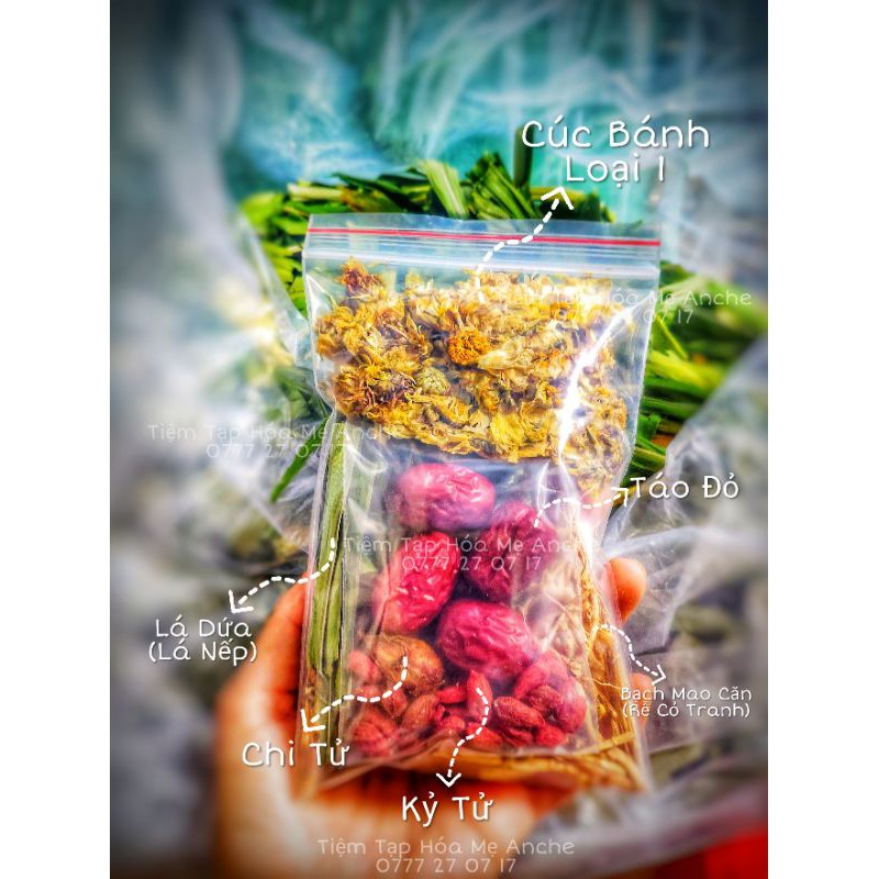 [Mã 267FMCGSALE giảm 8% đơn 500K] 🌼 SÂM BÔNG CÚC NẤU 8L NƯỚC
