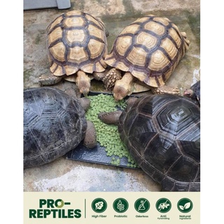 1KG thức ăn proreptiles dành cho rùa cạn