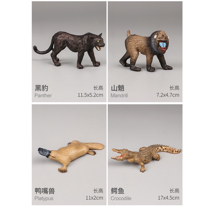 Mô Hình Động Vật Hoang Dã Sống Động Chất Lượng