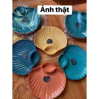 Sét đĩa hình sò siêu kute