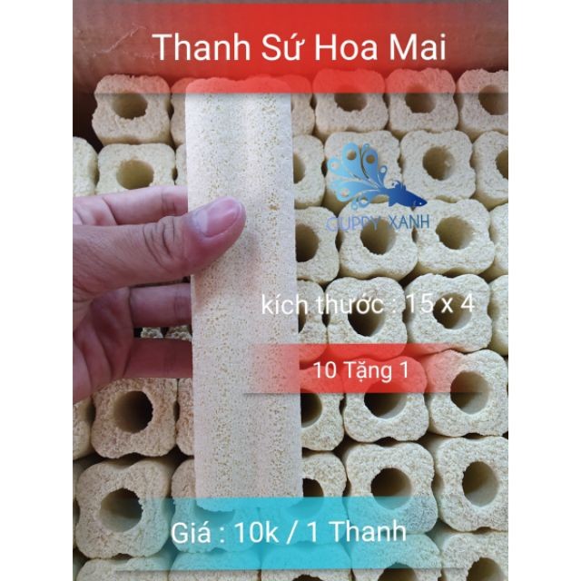 Combo 10 Sứ Thanh Hoa Mai - Size 14x5 - Hàng Loại 1 - Guppy Xanh