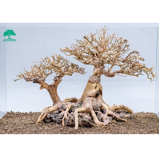 Lũa Bonsai, Lũa thủy sinh dùng trang trí hồ cá cảnh, hồ thủy sinh, văn phòng, nhà cửa (GH-BSR/12)