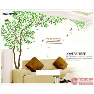 Giấy dán tường hình cây xanh họa tiết rời trang trí phòng khách phòng ngủ ( chọn nhiều mẫu )