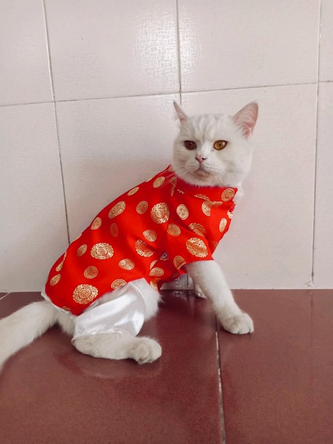 ÁO CHÓ MÈO CÓ SIZE LỚN - ÁO DÀI TRUYỀN THỐNG