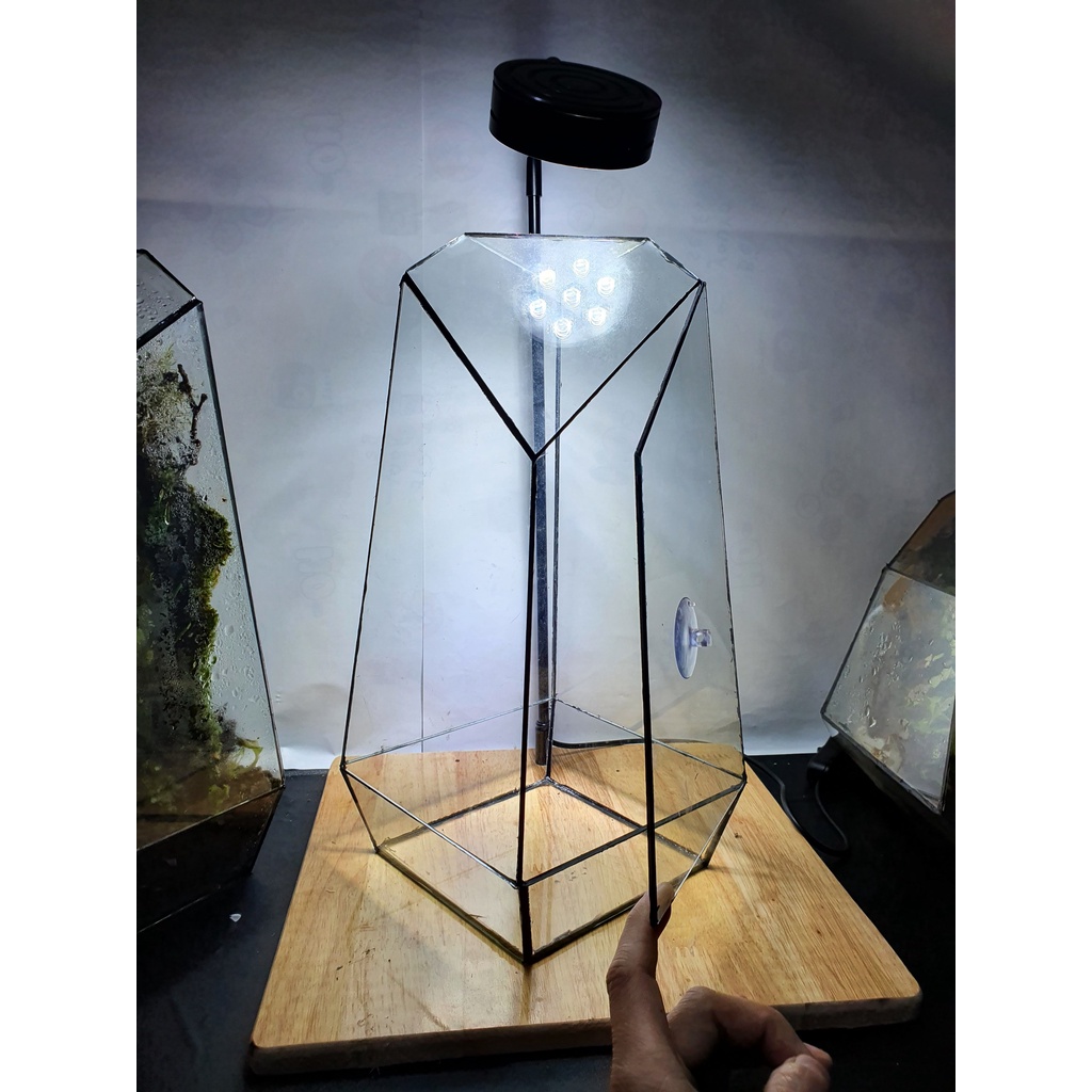 Bình thủy tinh terrarium tiểu cảnh bán cạn đa giác mẫu A1