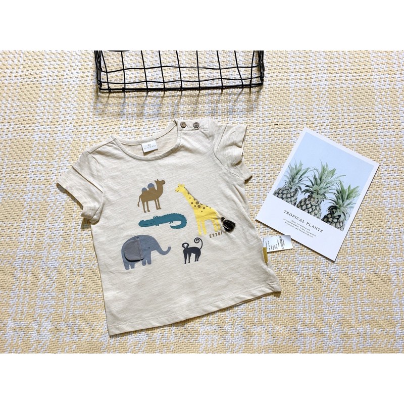 sz(90) Áo lẻ thun cotton Ettoi xuất hàn