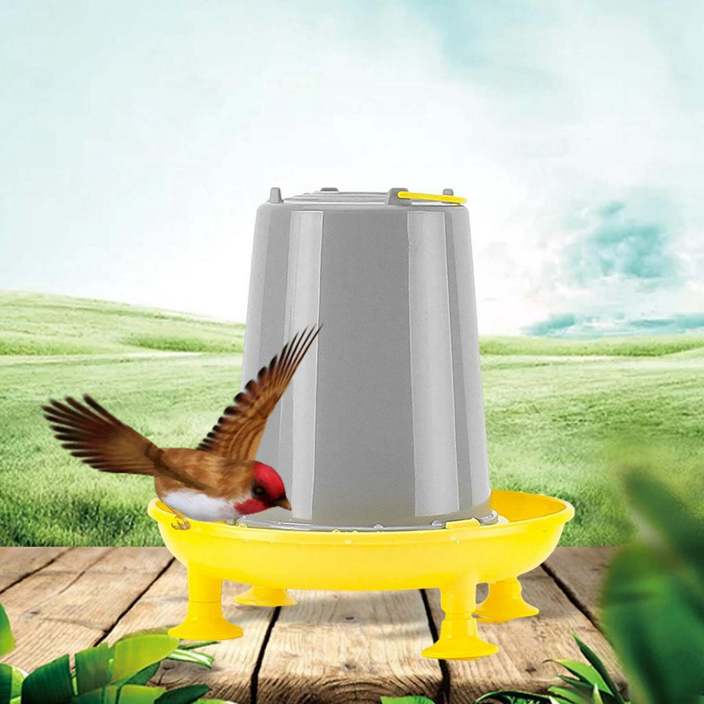 Dụng Cụ Cho Chim Uống Nước Koolsoo21