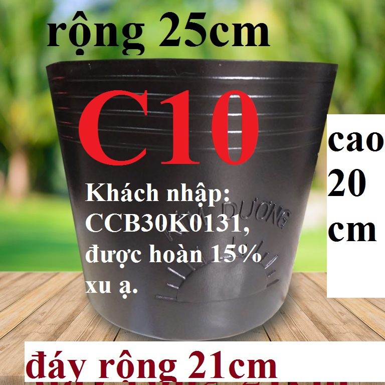 CHẬU NHỰA ĐEN C10 (C25) TRỒNG CÂY HIỆU KIM DƯƠNG