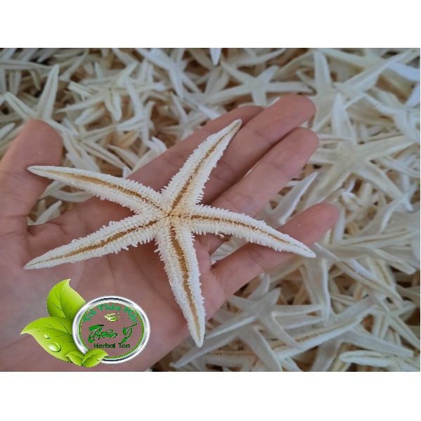 Sao Biển Khô Ngâm Rượu