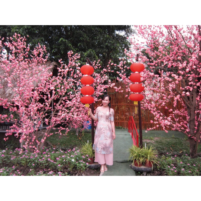 Thanh lý set Áo dài cách tân hoa đẹp