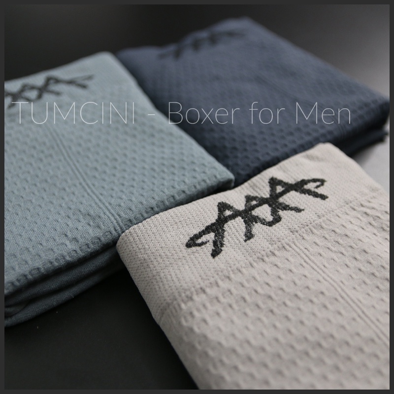 Quần lót nam boxer sịp đùi cao cấp thun lạnh cotton freesize 40-90 kg Tumcini QLN01