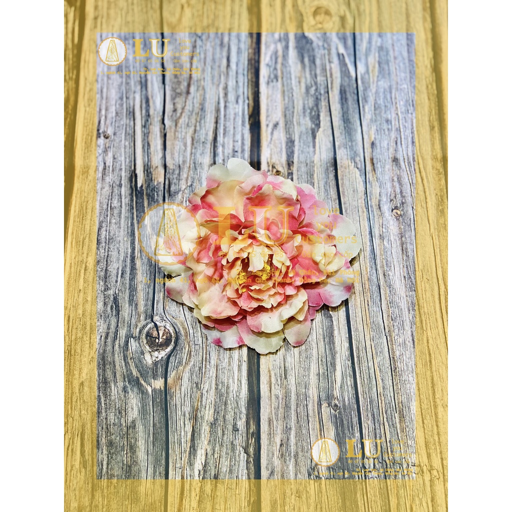 Đầu hoa mẫu đơn | LU