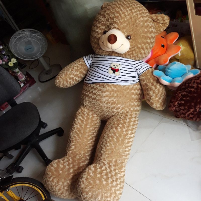 Gấu bông teddy khổ 2m ( nhiều màu)