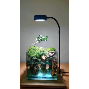 Đèn LED đế gỗ cao cấp 3W- 5W- 7W- 9WIĐèn thủy sinhIĐèn tiểu cảnhI Đèn cho hồ mini