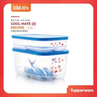 Bộ 2 hộp trữ mát cool mate 4.4l và 1.8l