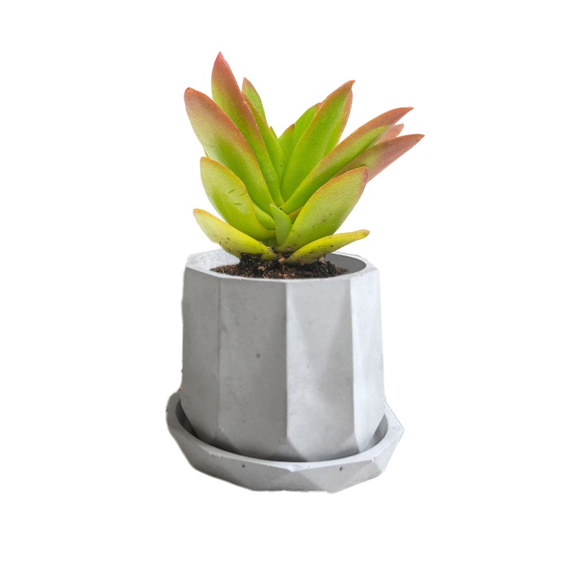 Khuôn Silicone Làm Chậu Hoa Hình Lục Giác