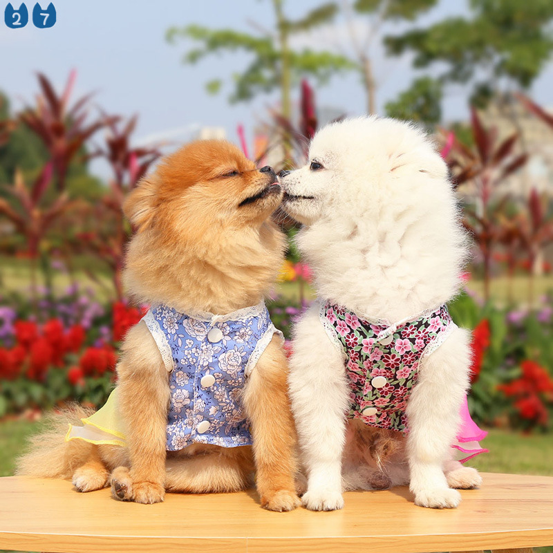 Đầm Cưới Công Chúa Họa Tiết Hoa Và Mèo Phong Cách Hàn Quốc 27Pets