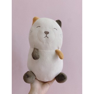 Đồng giá 40k (Chất miniso)