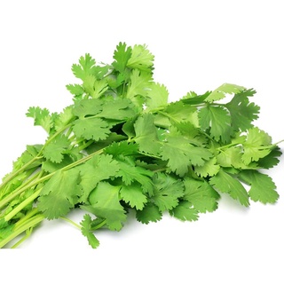 EMIC Chế phẩm E.M ( EM ) ủ phân hữu cơ 200g652